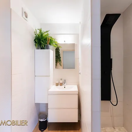 Centre - L'essentiel アパート コルマール