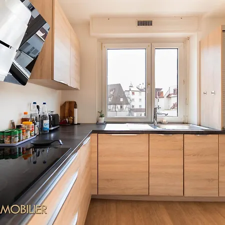 Centre - L'essentiel アパート コルマール